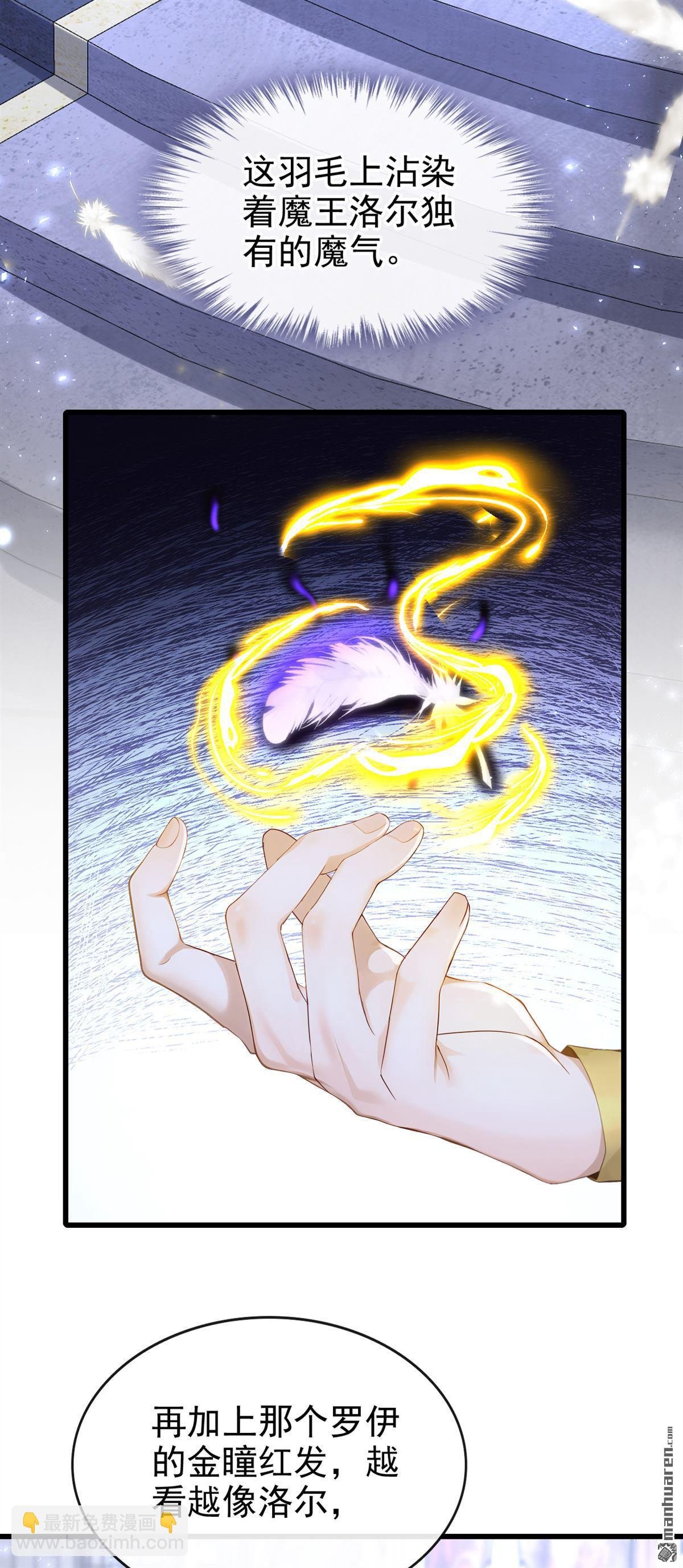 第230回 罗伊就是洛尔！