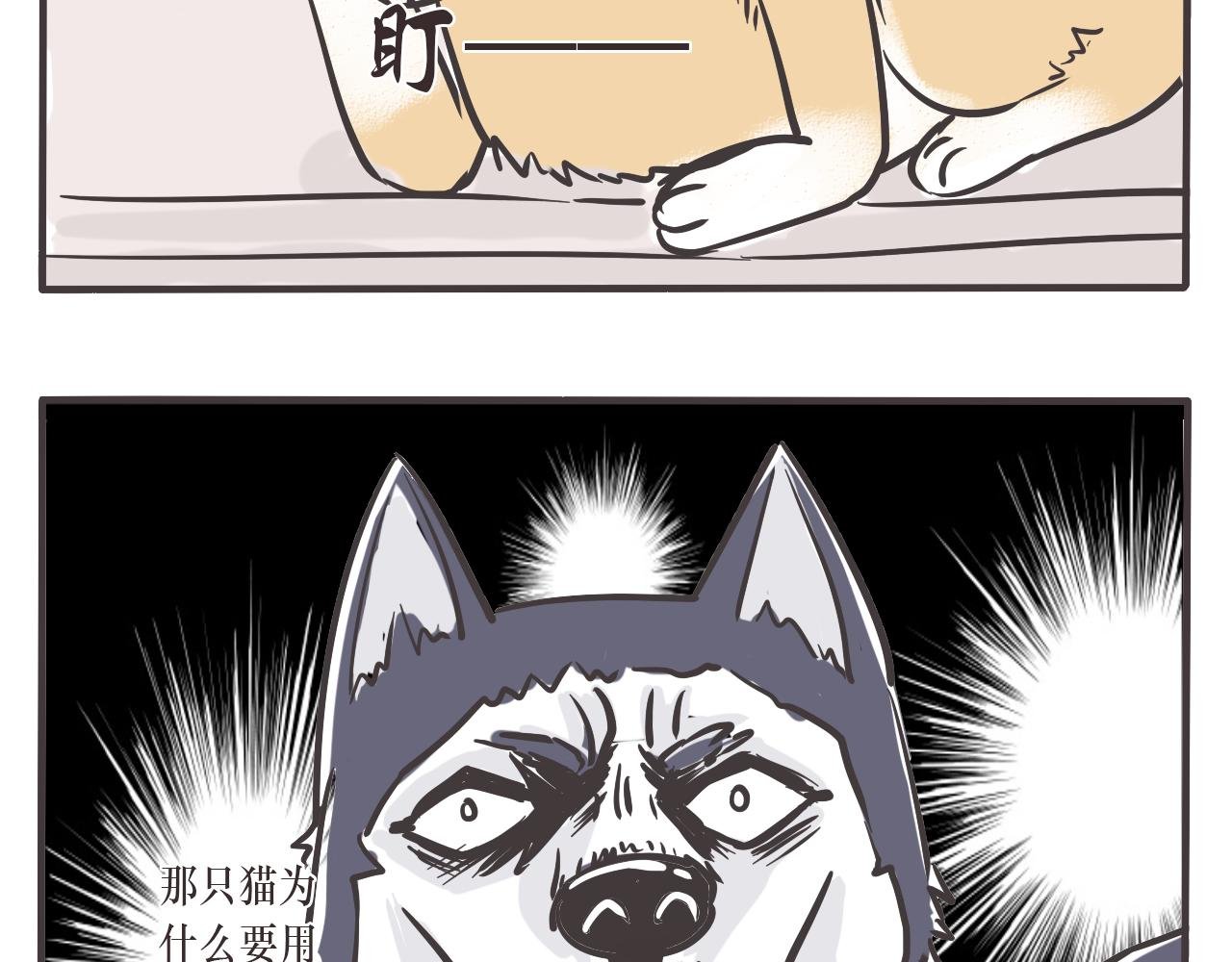 路过的狗