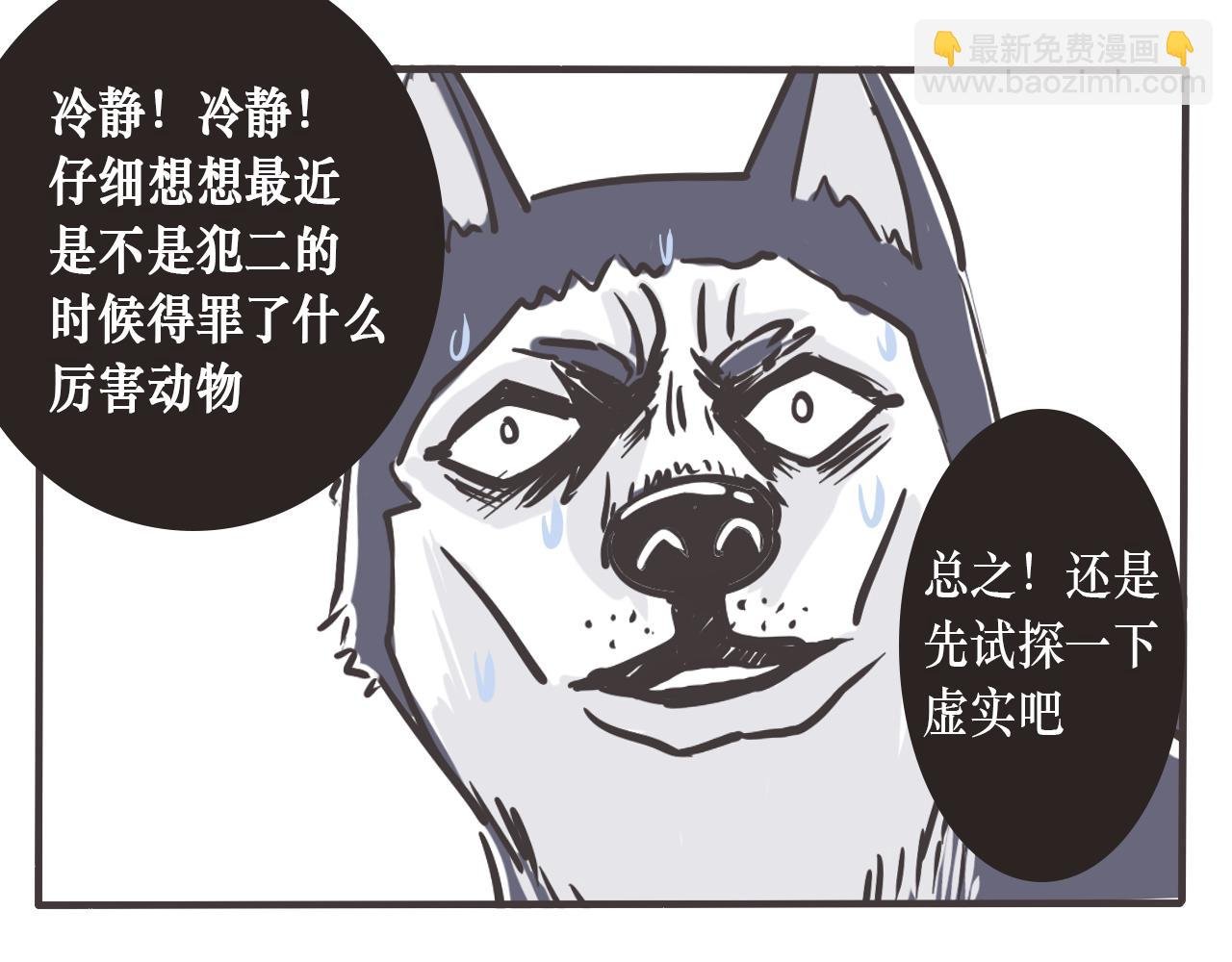 路过的狗