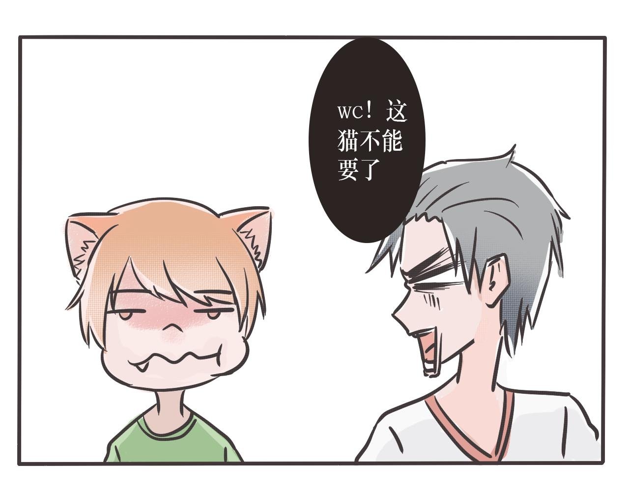 路过的狗