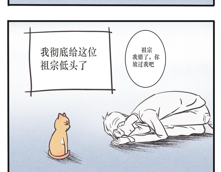 我谢罪了