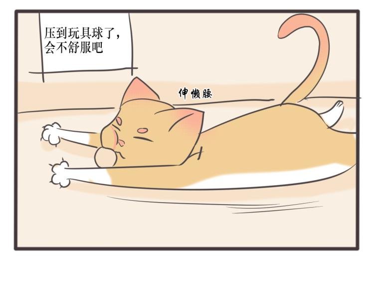 我谢罪了