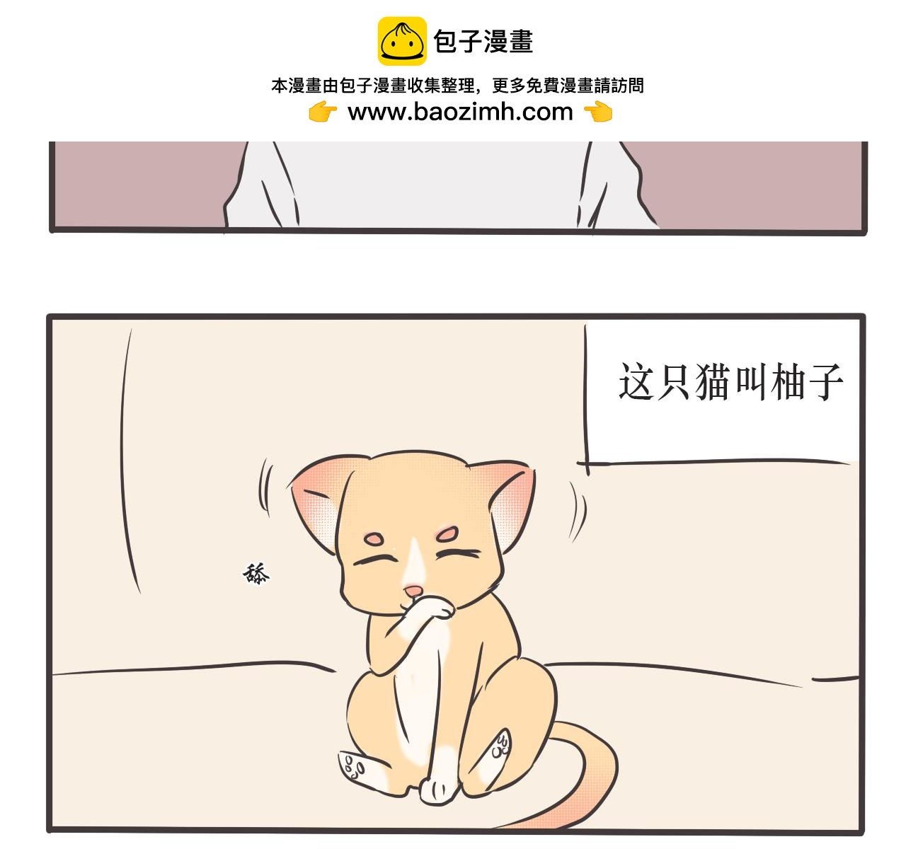 猫妖
