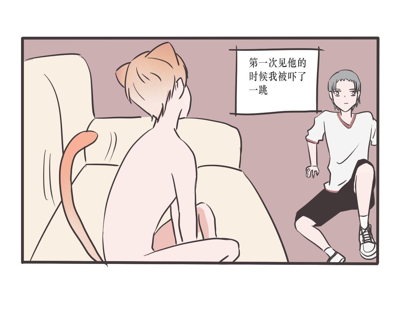 猫妖