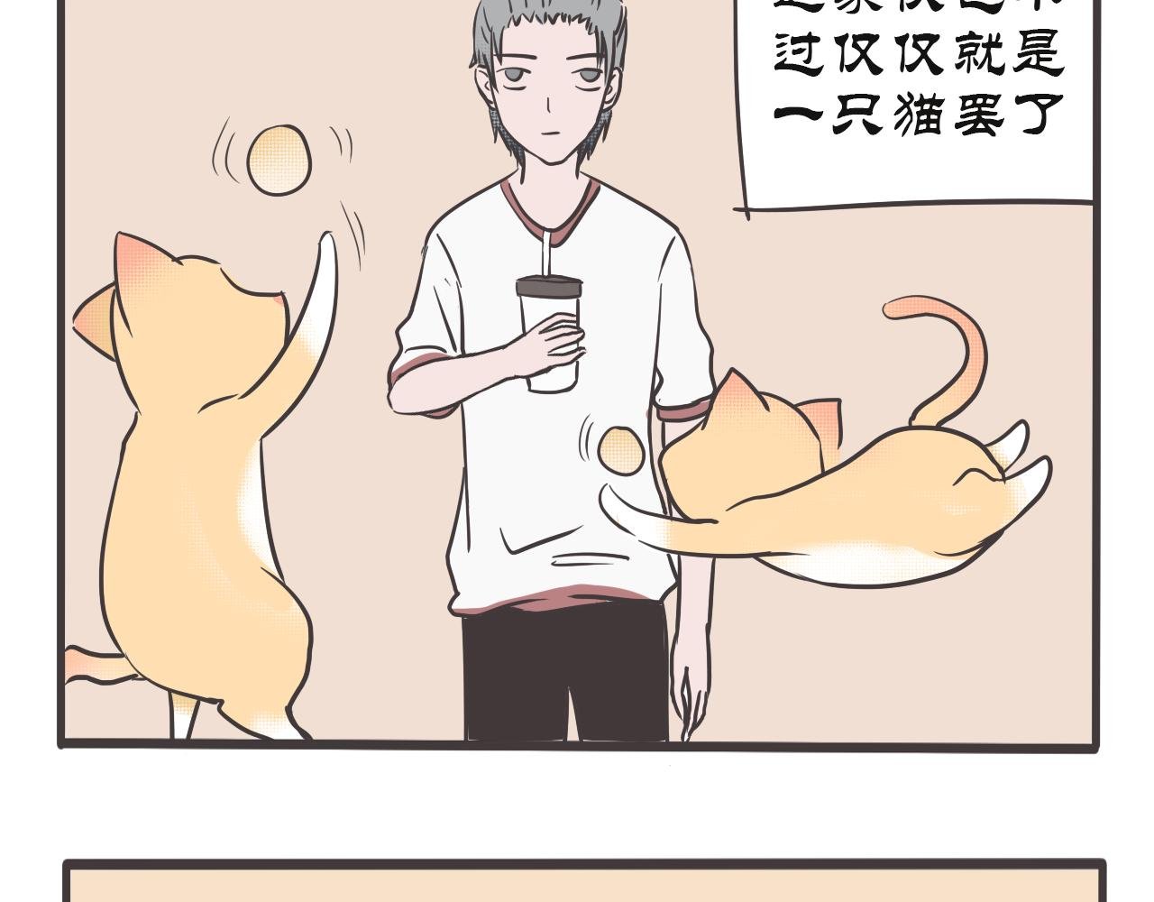 猫妖