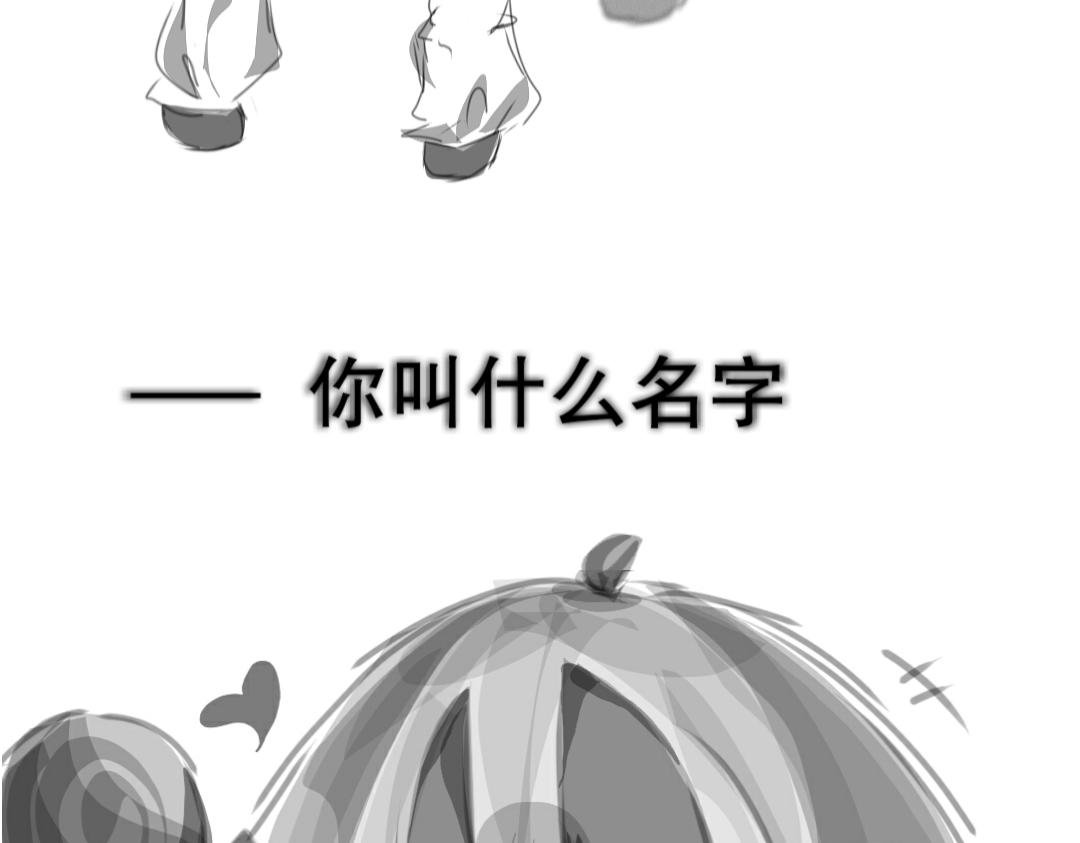 前情提要