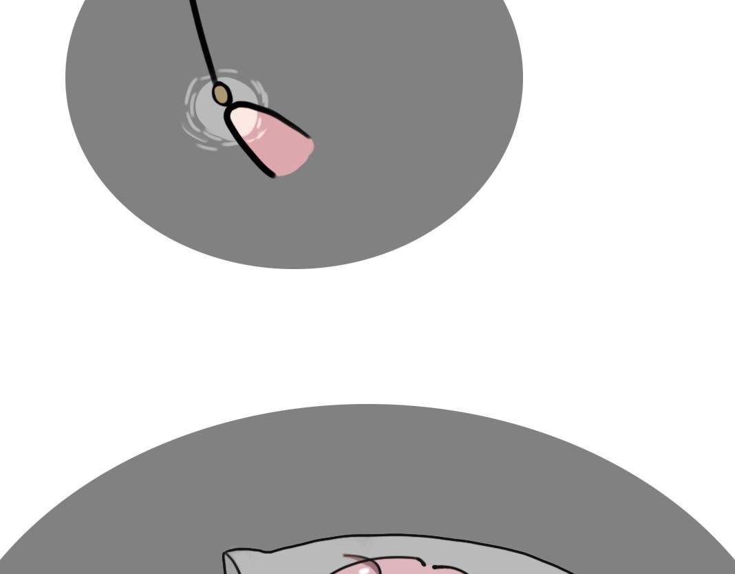 老舟