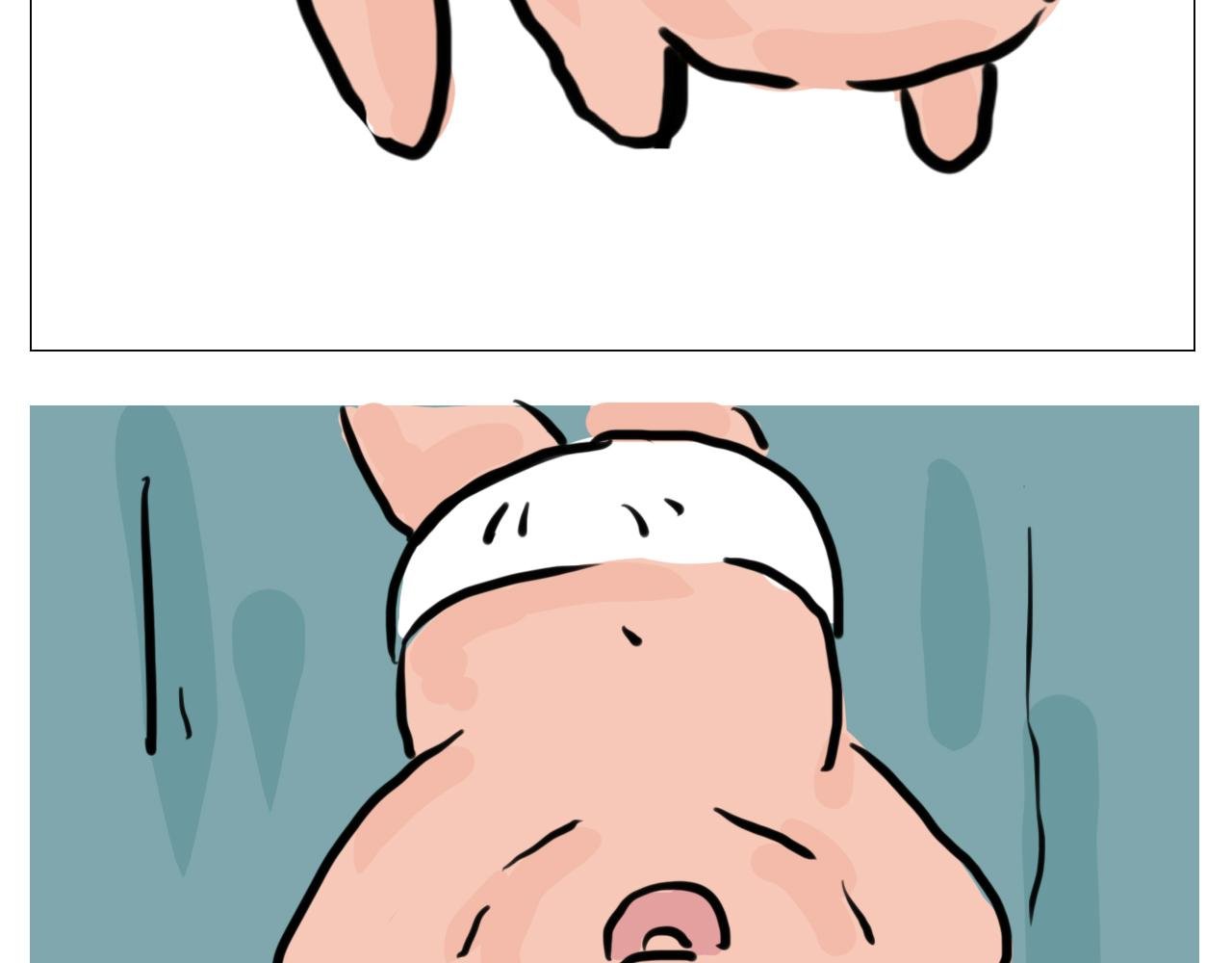 狗生之敌