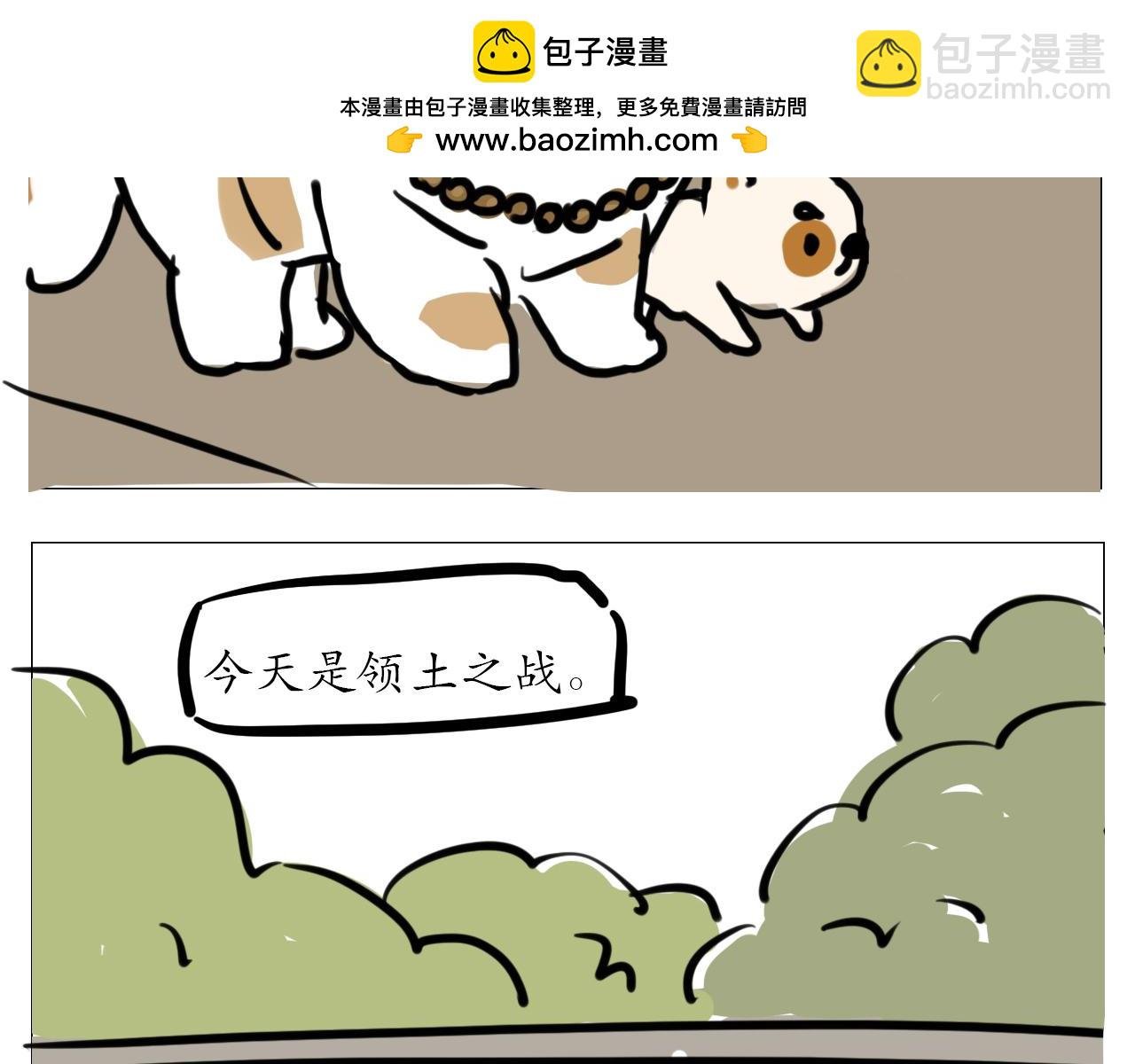 我叫波霸