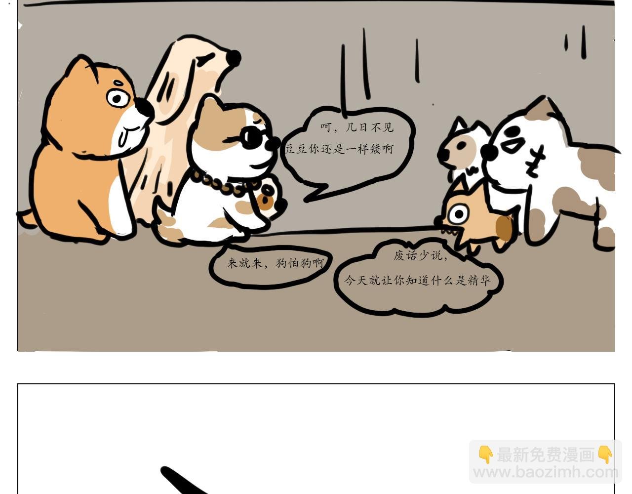 我叫波霸