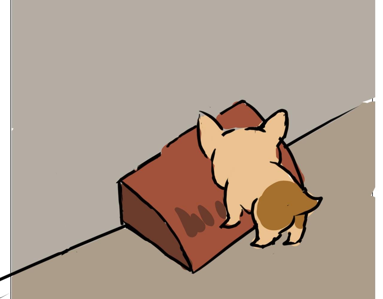 我叫波霸