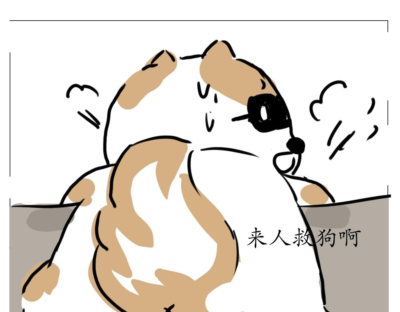 我叫波霸