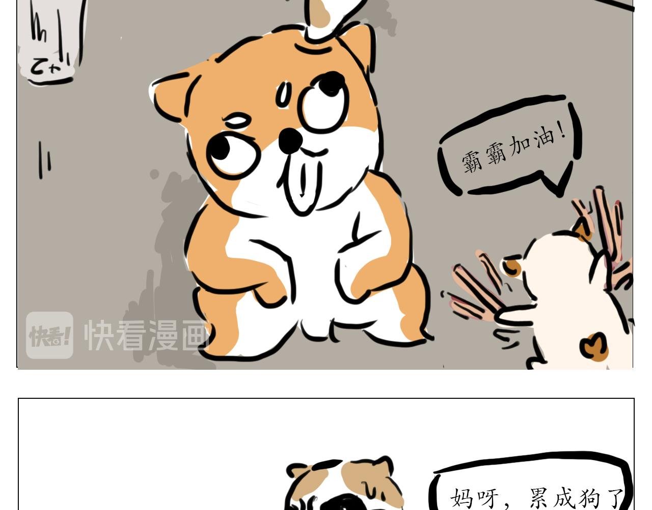 我叫波霸