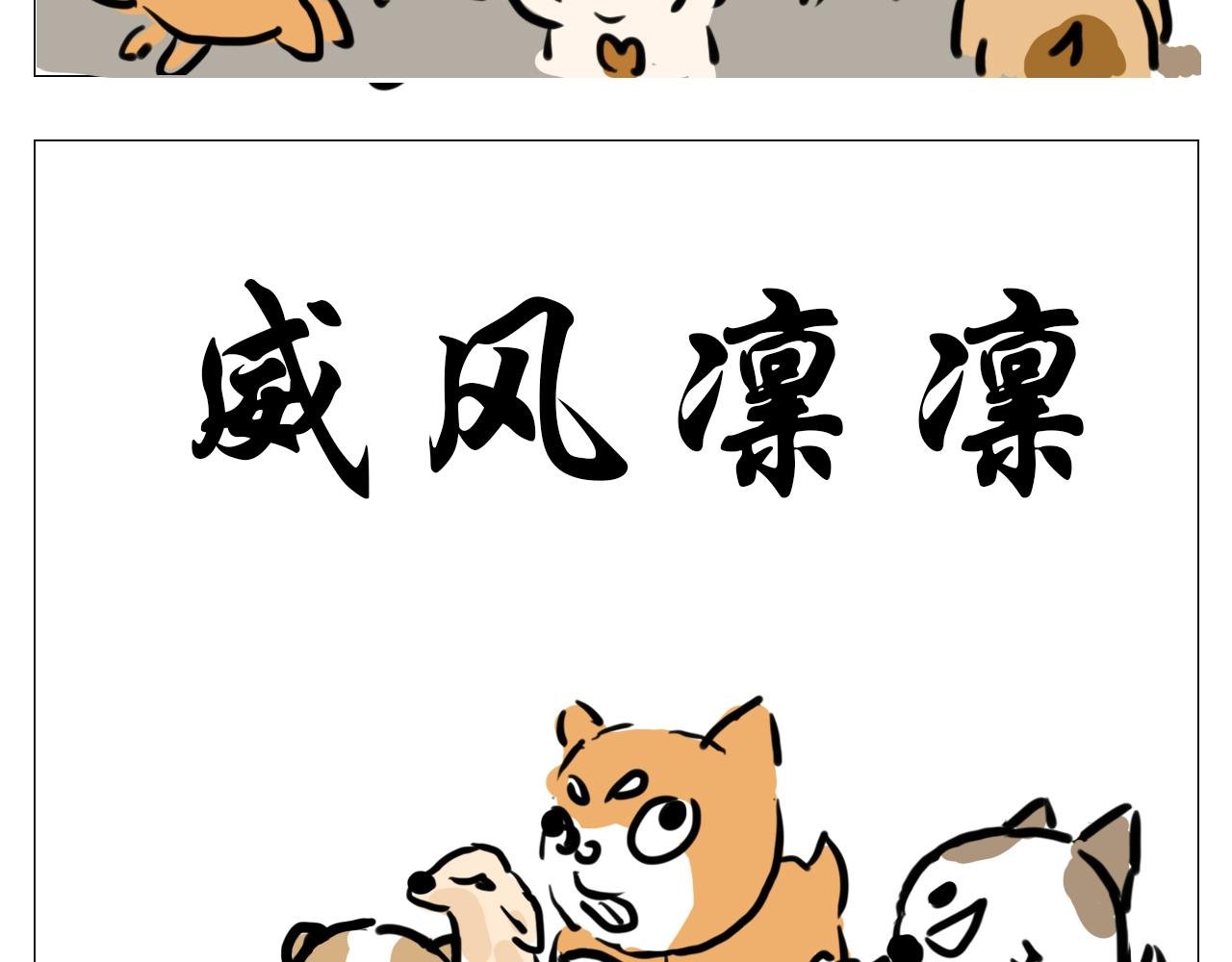 我叫波霸