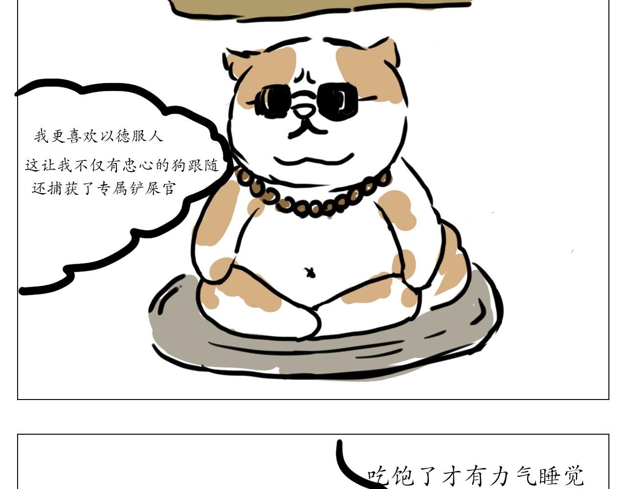 我叫波霸