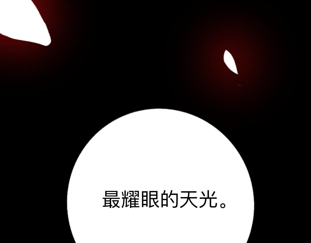 雏菊（上）