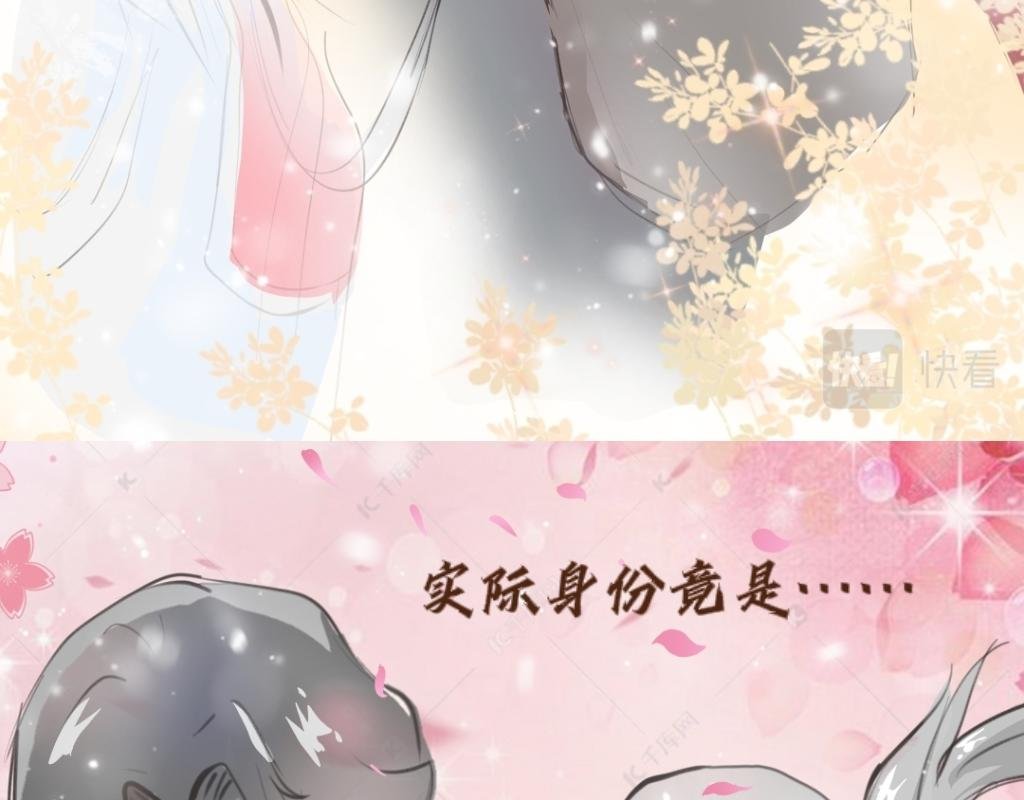 预告