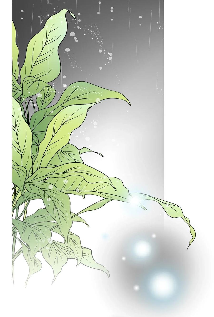 43 夜雨绵绵