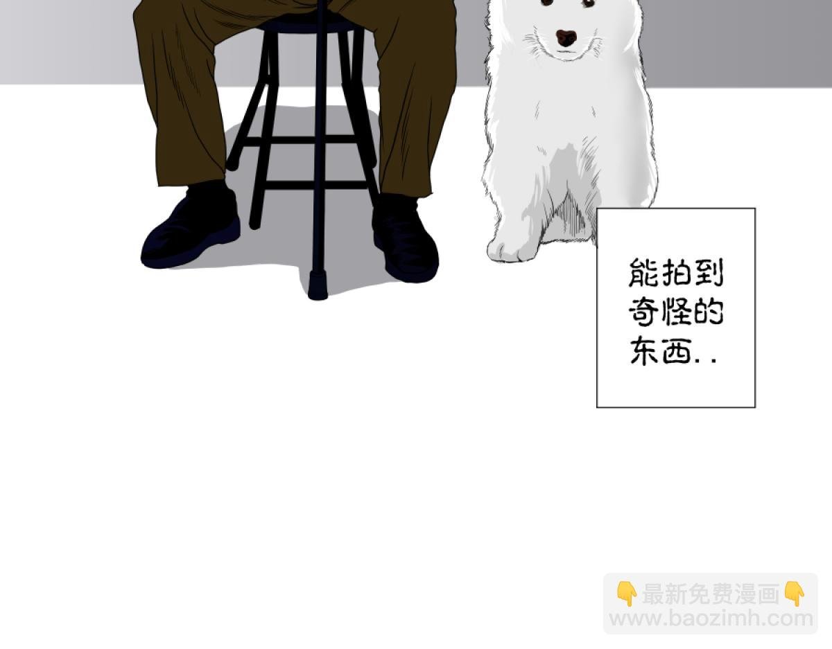 被迫开业