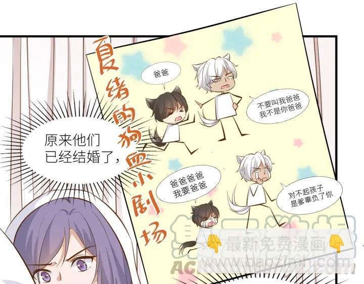 第27话 白总的爱人？