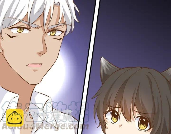 第27话 白总的爱人？