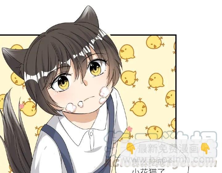 第41话 总有恶人来捣乱