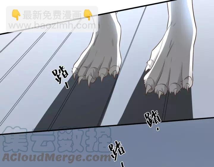 第53话 圆月之夜