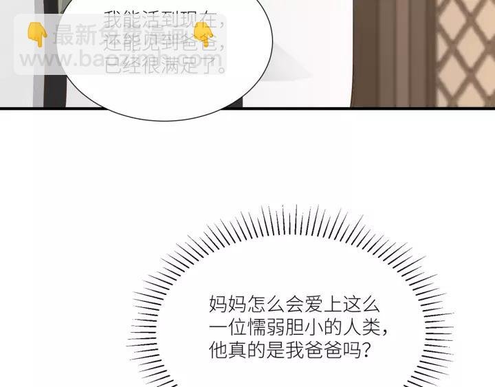 第65话 不等了，去救他