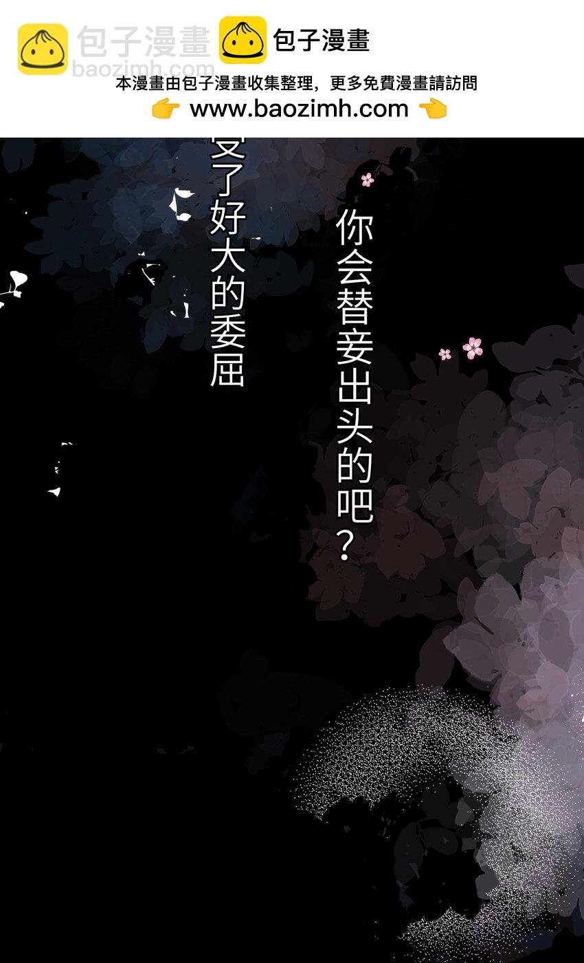 新卷预告 新卷预告