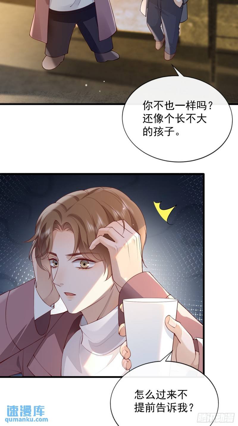 95 一颗石头