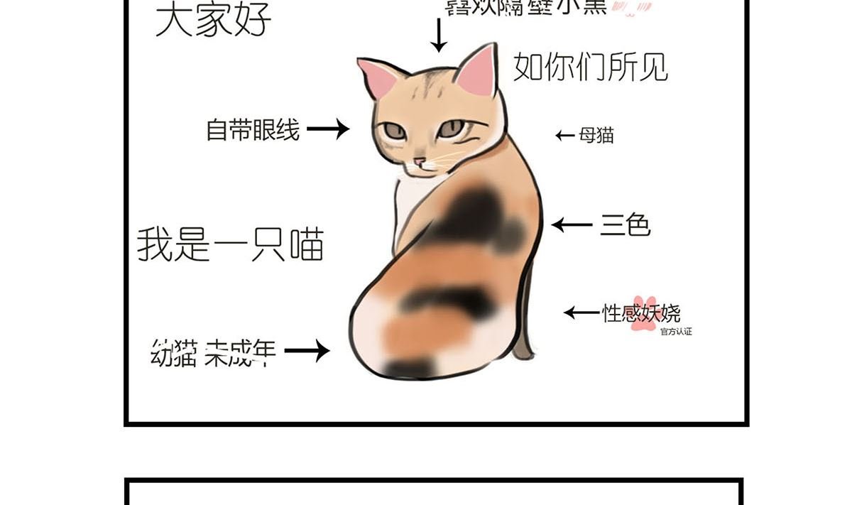 第一话