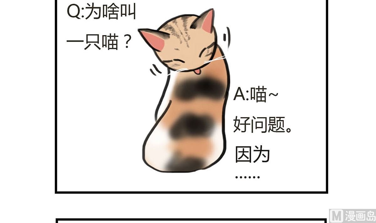 第一话