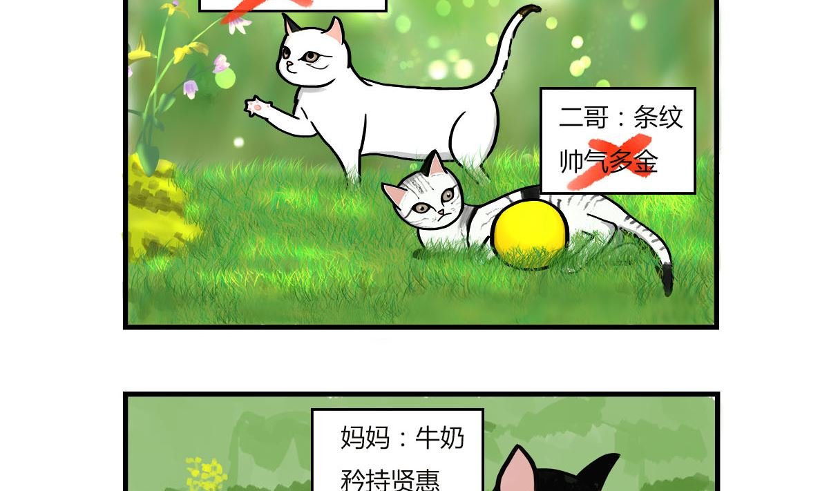 第一话