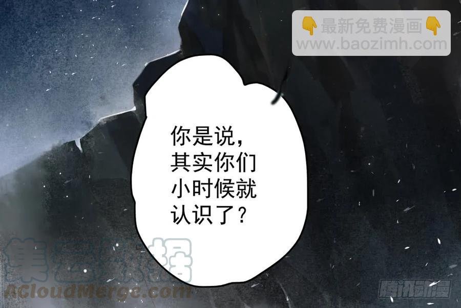 来龙去脉渐明晰，严沈诀别沐雪涯
