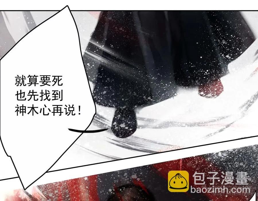 偶遇神秘人，寻到神木心。