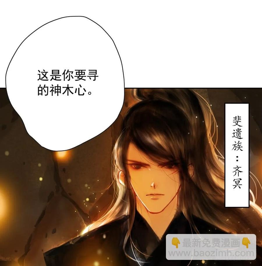 偶遇神秘人，寻到神木心。
