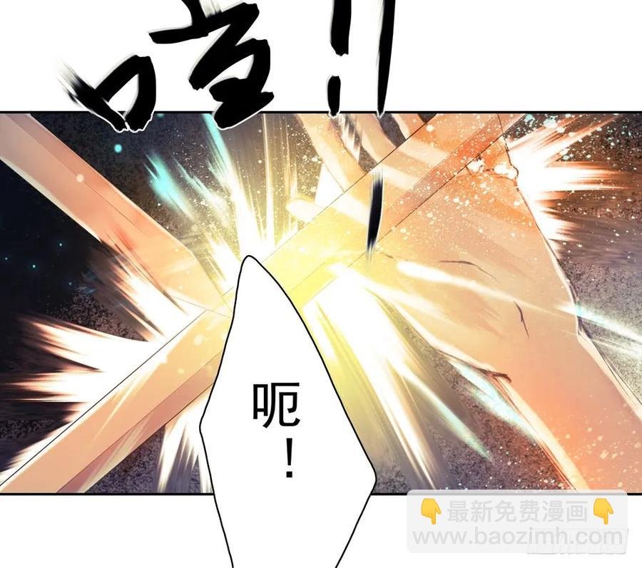 沈孤对决沈望
