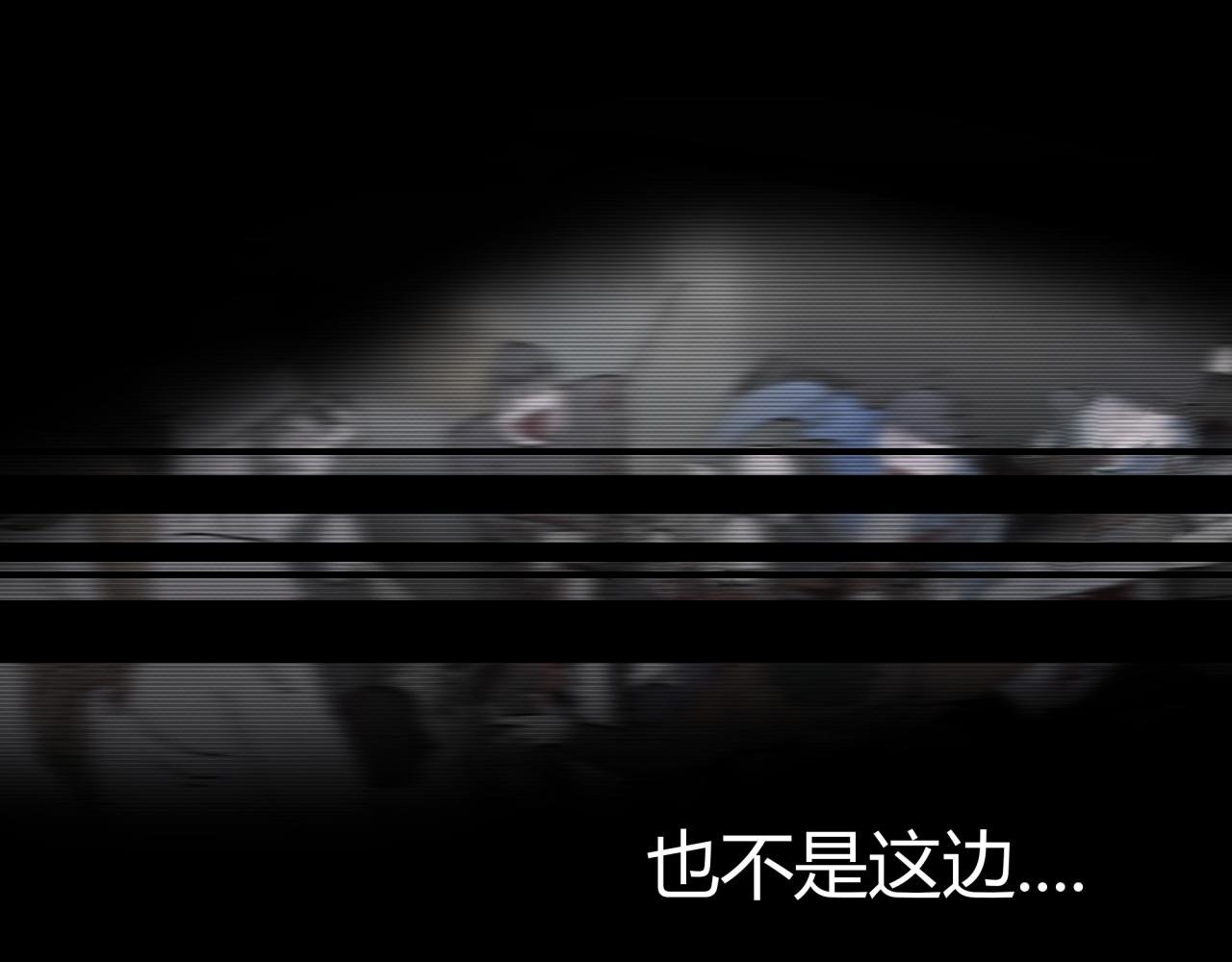 注视