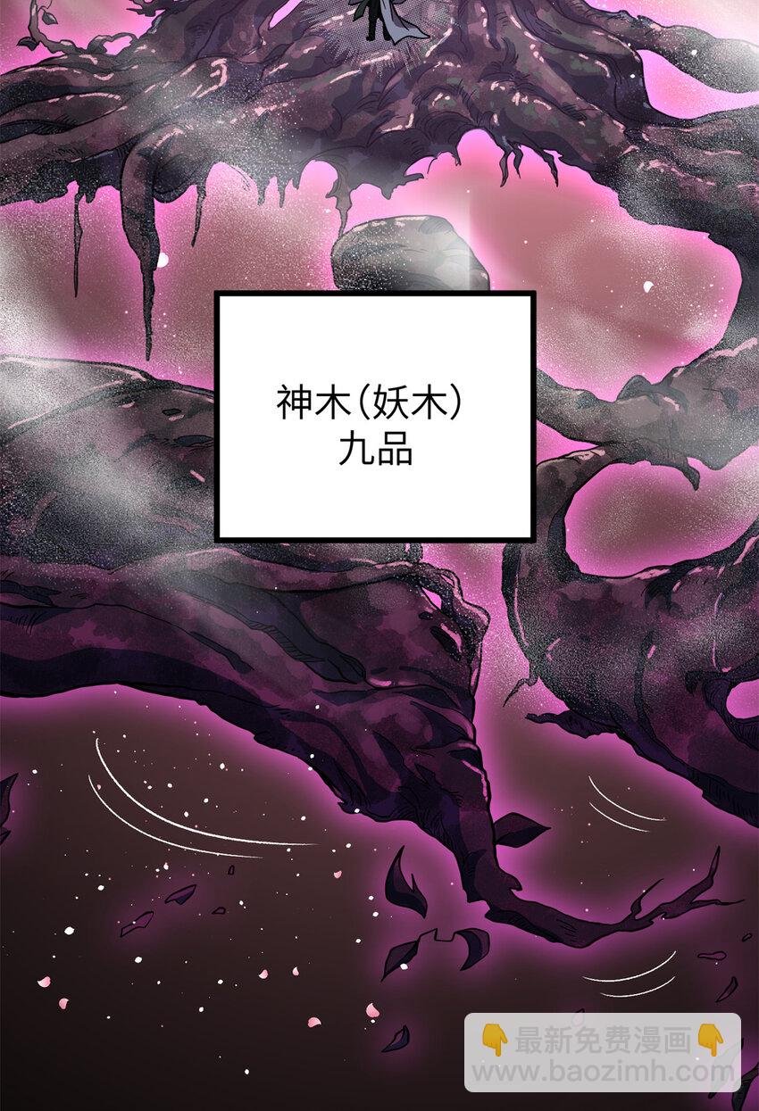 249 乱糟糟的地窟