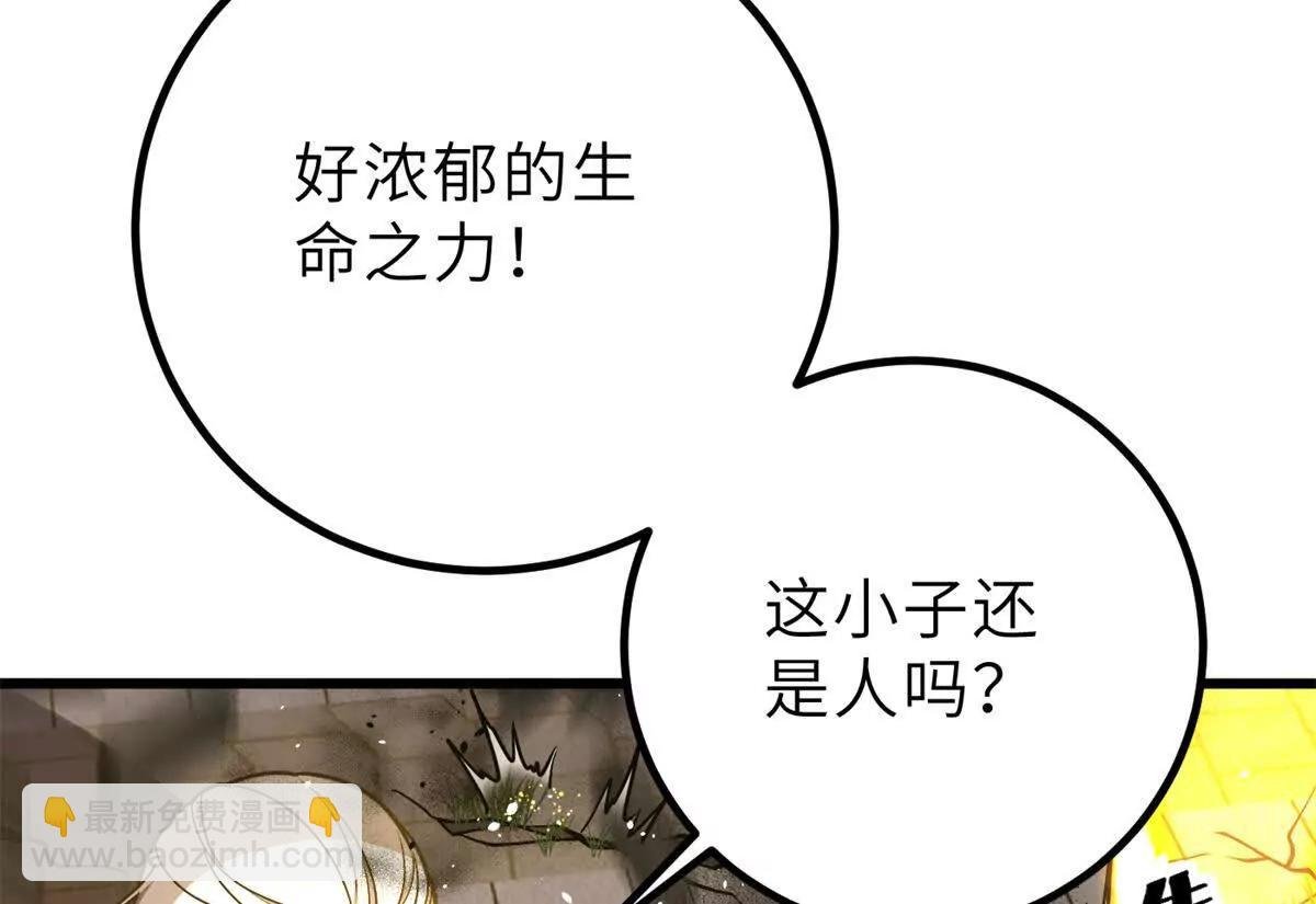 288 宗师境！