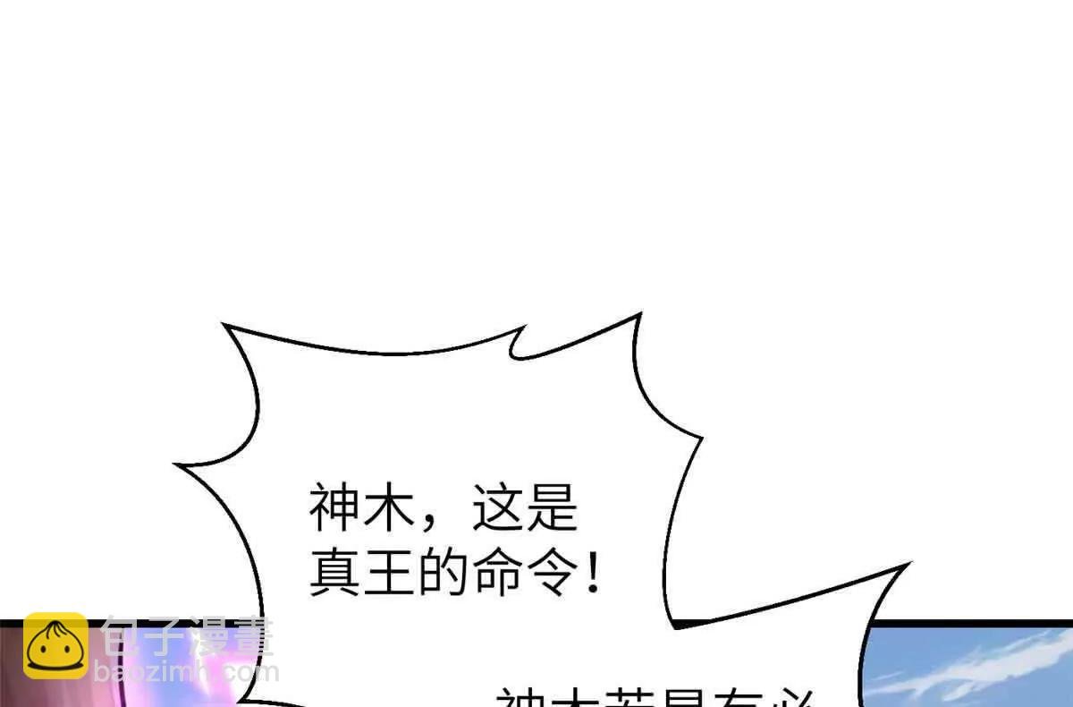 293 高品大战