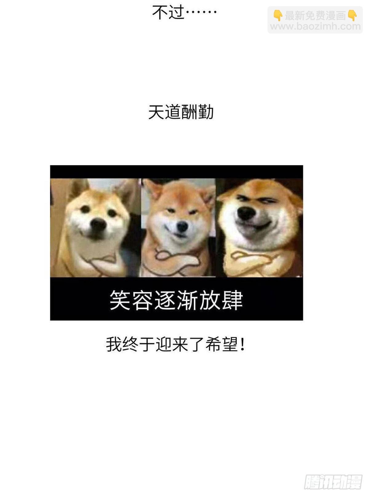 公告