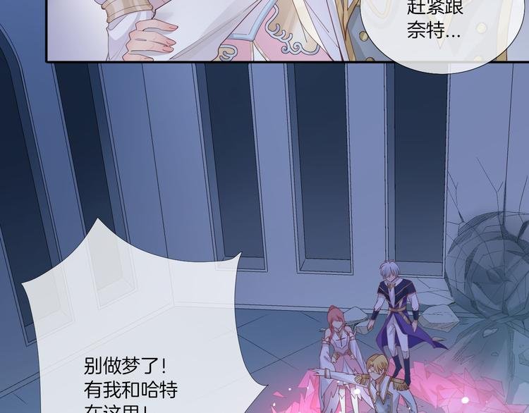 第14话 这次换我来守护骑士们