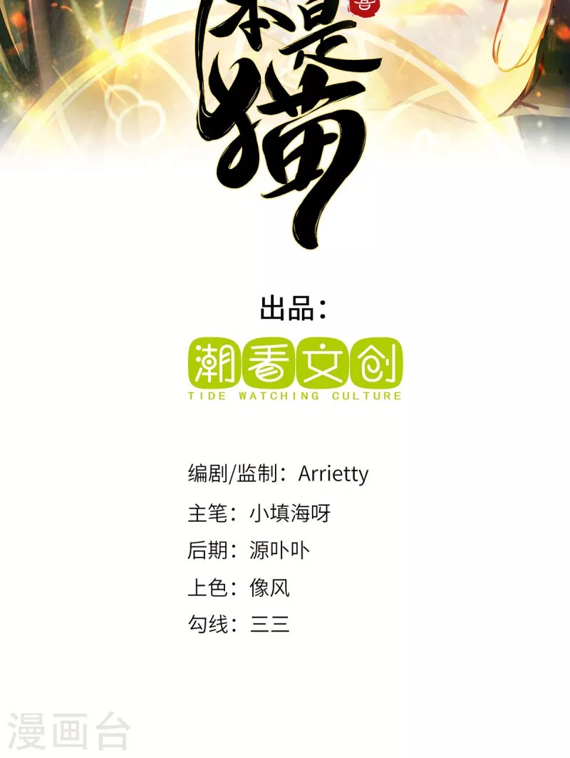 第13话 意外负伤