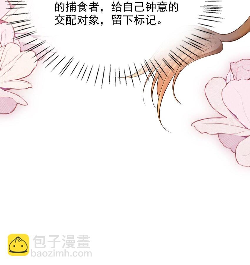 022 野性的味道