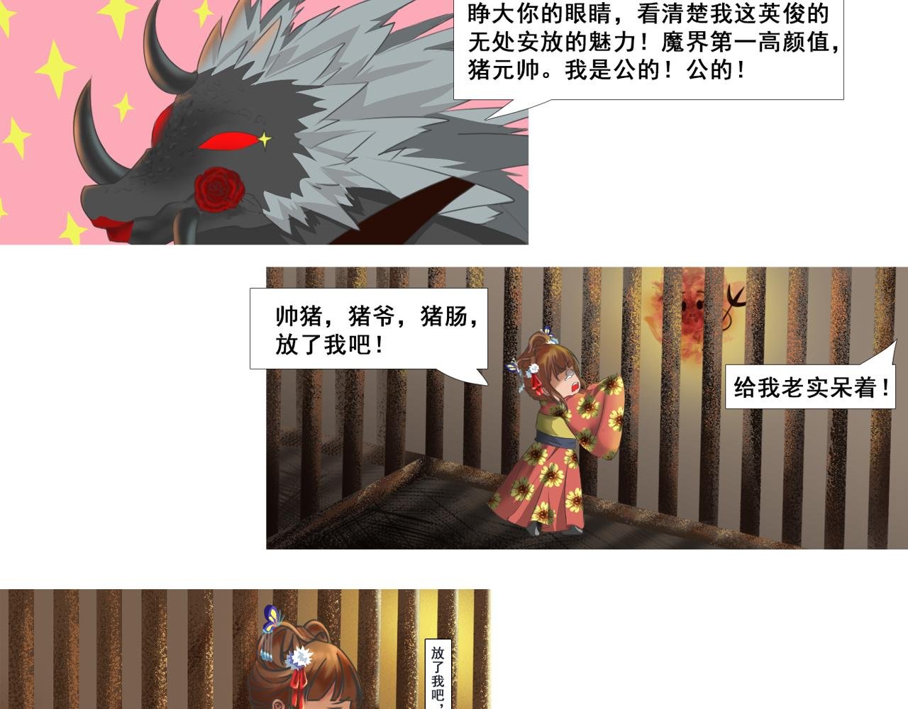 初识