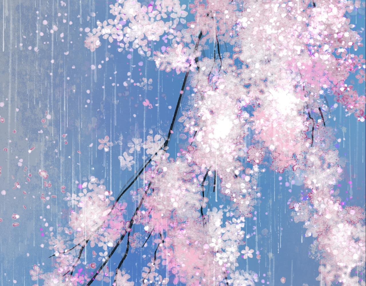 寻主