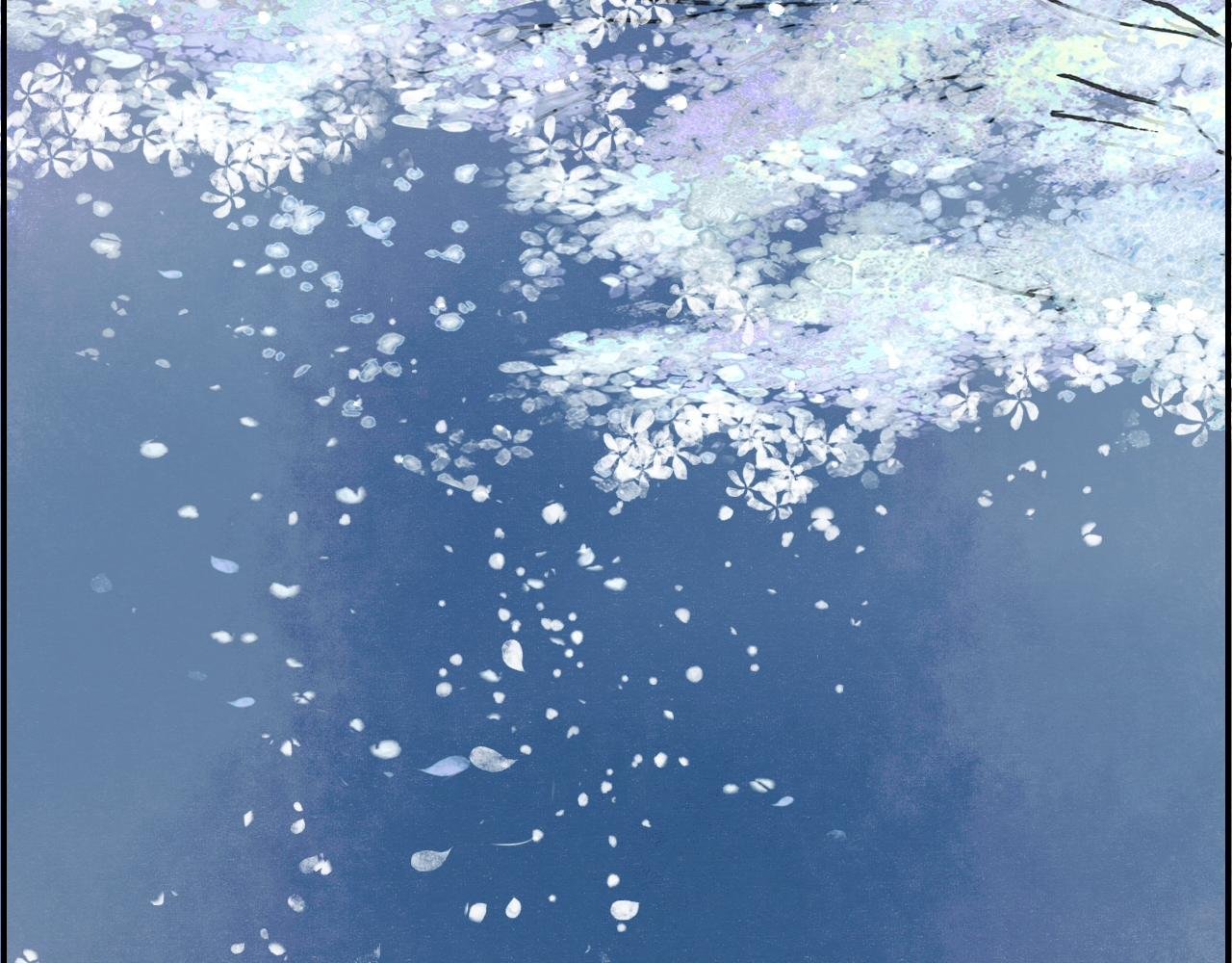 寻主