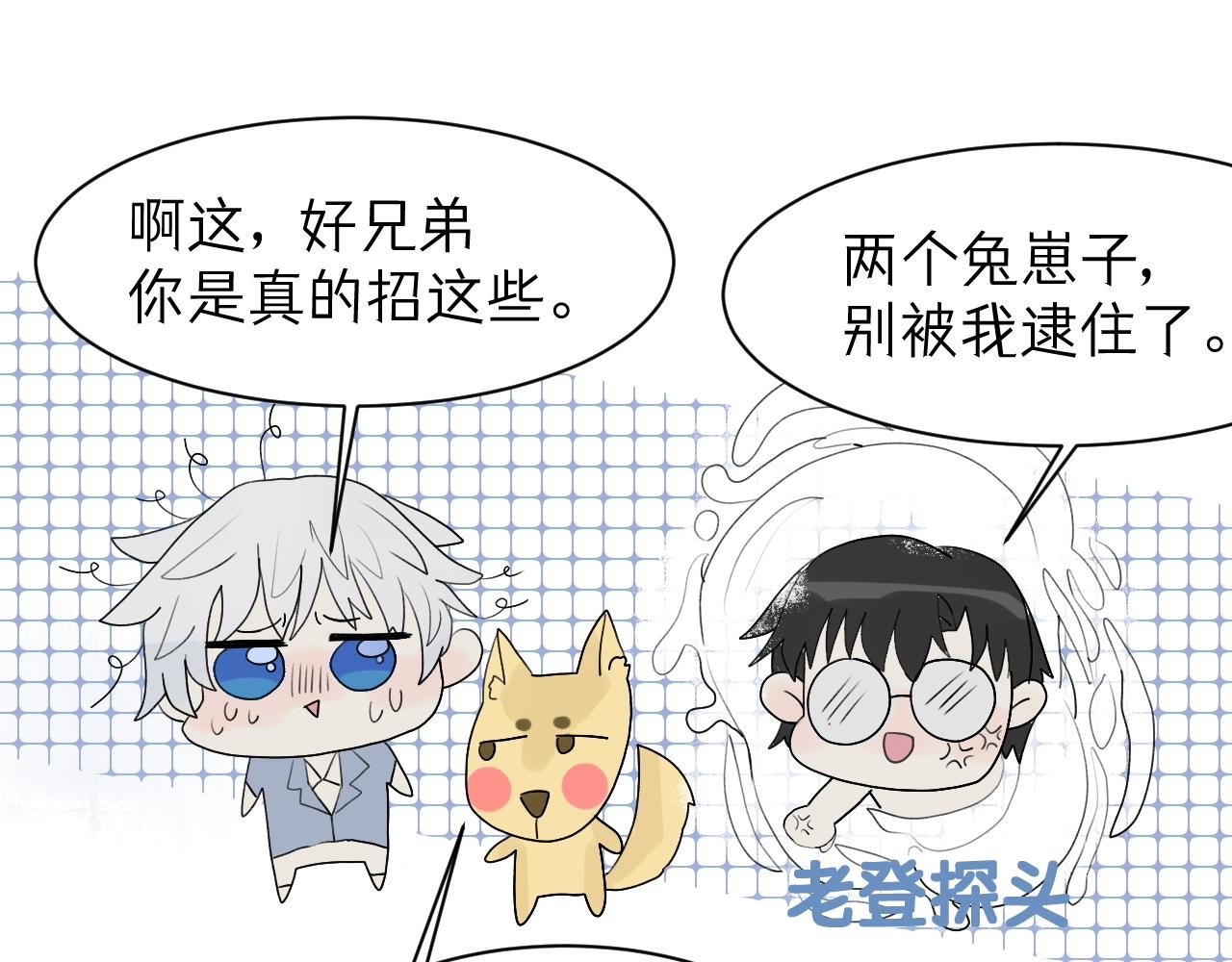 寻主