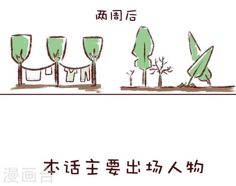 第14话 植树”友谊“赛